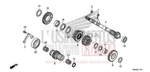TRANSMISSION (MAINSHAFT) (NC750SD) NC750SDG de 2016